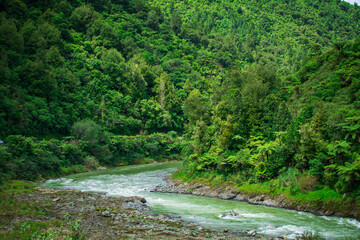 Fototapeta premium Fast river flowing over rockbed at the bottom of Waioeka Gorge, North Island, New Zealand