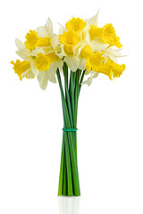 Bouquet of daffodils flowers isolated on a transparent background