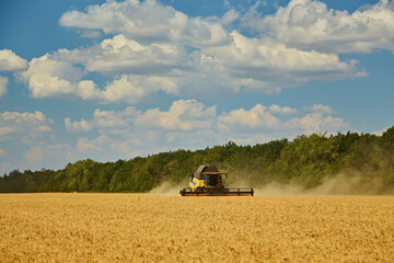 Combine harvester harvests ripe wheat.