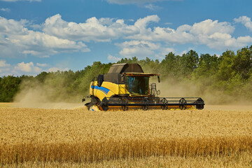 Combine harvester working on a wheat field. Seasonal harvesting the wheat.