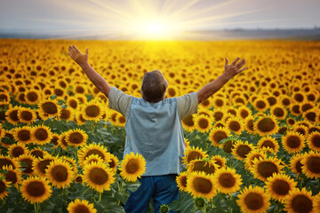 Successful Ukrainian Farmer in a sunflower field. Senior farmer man is standing and smiling in a...