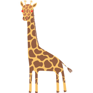 Cute funny giraffe cartoon character illustration. Hand drawn Scandinavian style flat design, isolated vector. Tropical animal, jungle wildlife, safari, nature, kids print element