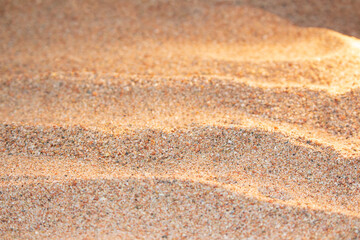 Beautiful beach with yellow sand with small pebbles in sunny day. Panoramic view. Natural background for summer vacation. Sunset, dawn. Copy space