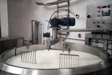 Traditional cheese making at a creamery, milk in a large stainless steel tanks.