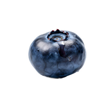blueberries isolated o
