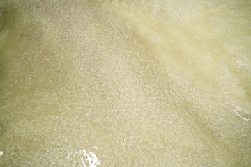 Curdled milk brought to high temperature in hot big cauldron for the production of cheese in dairy factory. Macroshot. Food background