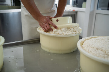 Close-up of a man cheese maker forming cheese into the plastic molds at the producing farm. Traditional spanish cheese from fresh sheep milk.