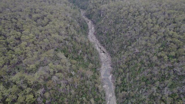 River Between Dense Trees In The Forest In Douglas-Apsley National Park, Tasmania, Australia. - aerial