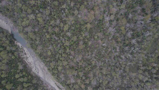 Aerial View Of Apsley River Within The Douglas-Apsley National Park In Tasmania, Australia. - overhead