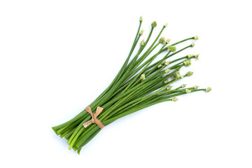 Chives flower or Chinese Chive on white