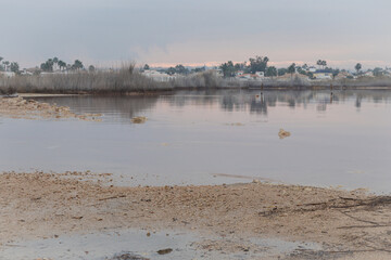 Pink Lake in Nature Park of the Lagoons of La Mata and Torrevieja, Alicante, Spain