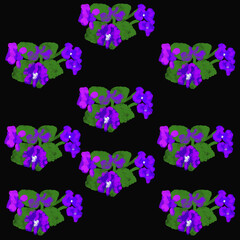 Obraz na płótnie Canvas violet,purple spring flower, with green leaves,spring,beauty,floristry,botany