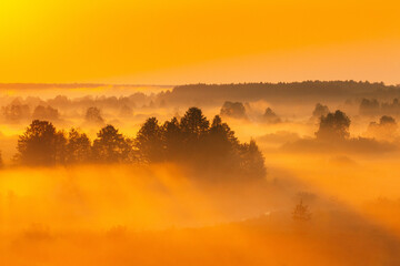 Amazing Sunrise Light Above Misty Landscape. Scenic View Of Foggy Morning In Misty Forest Park Woods. Summer Nature Of Eastern Europe. Sunset Dramatic Sunray Light Sunbeam.