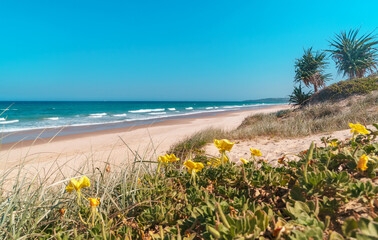 Mesmerizing panoramic view of turquoise ocean waves crashing against the pristine beach on the sunny summer day with yellow flowers in the foreground. 