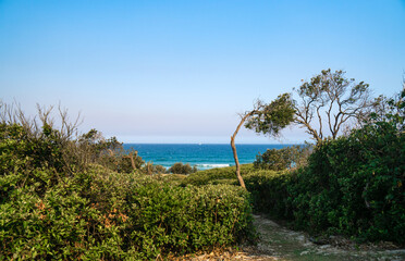 Beautiful scenic view of white sailboat in the ocean visible from the green hill above the beach. 