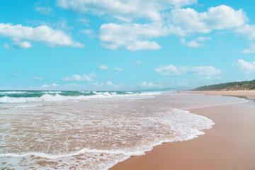 Beautiful wide panoramic view of the Peregian beach with Pacific ocean waves crushing on the shore on a bright sunny day on Sunshine Coast, Queensland, Australia.