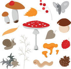Cozy colorful autumn forest floor with mushrooms plants creatures vector collection on white

