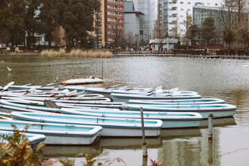 Fototapeta na wymiar pond in the city center