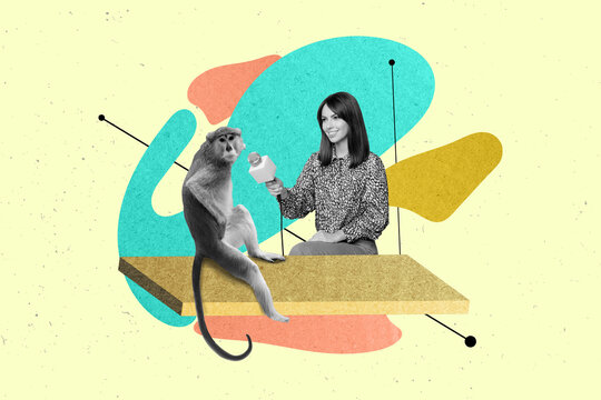 Composite collage picture of black white colors girl reporter interviewing monkey isolated on painted background