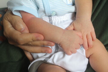 baby's hands with a soft texture
