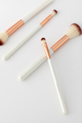 A set of makeup brushes on a white background. Tools for make-up