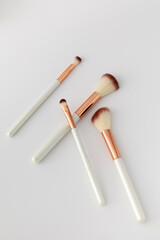 A set of makeup brushes on a white background. Tools for make-up