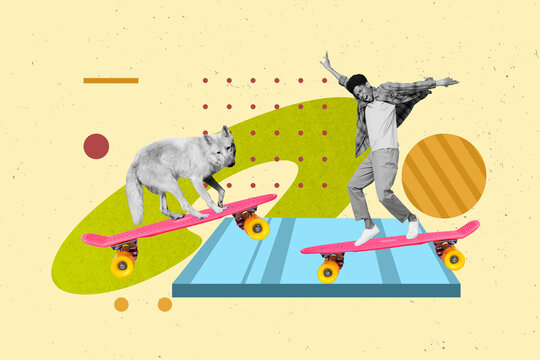 Funny photo collage of youngster student riding his skater while dangerous mammal wild wolf have fun longboard isolated on drawn background