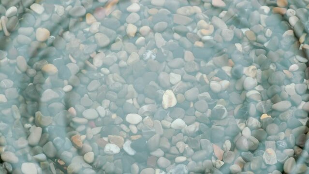 Drop Hits the Water Surface. Drops of water drip onto the surface of a small pond with clear water and a finely rocky bottom