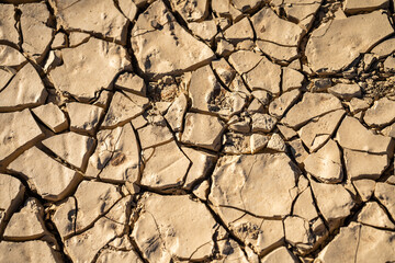 dry cracked earth in the desert