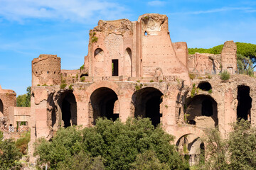 Fototapeta premium Temple of Apollo Palatinus ruins on Palatine hill, Rome, Italy