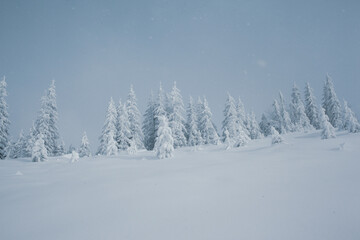 Winter wonderland with snow-capped pine trees in the mountains