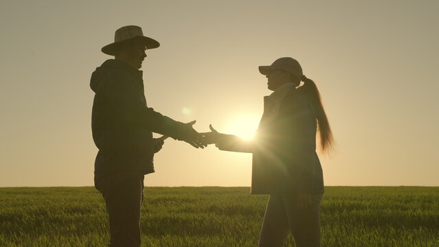 handshake silhouette. farmers businessmen shake hands with each other sunset. have deal. negotiate deal. partnerships. teamwork. Wheat field. Agriculture. farming concept. group people shaking hands