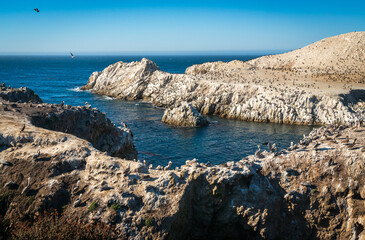 Rock Formations and Ocean at Point Lobos State Natural Reserve