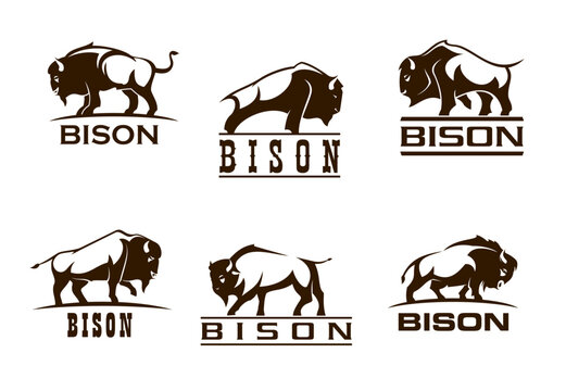 Bison buffalo symbols, company, corporate business