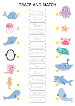 Match words with the correct pictures. Sea and ocean animals. Educational game for preschool kids. Learn English vocabulary. Name matching worksheet. Printable puzzle. Vector illustration.