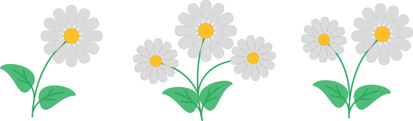 Fototapeta premium spring daisies and flowers, vector plants