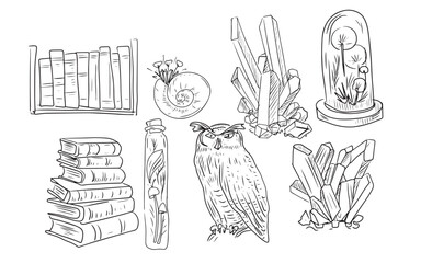 Crystals magic wise owl, old books, flask with plants and mushrooms, graphics sketch doodle coloring book set on a white background