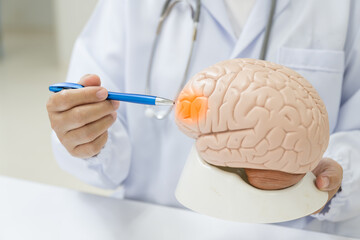 Neurologist hand pointing brain anatomy human model and brain disease lesion on white...