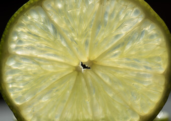 alcune belle fette di lime su sfondo scuro, foto macro alla texture delle fette di lime, il lime...