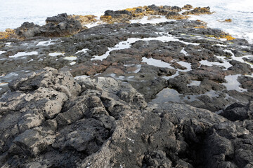 Azores Basalt Rocky Ocean Beach