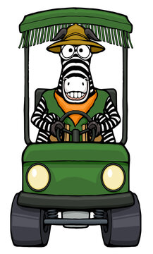 cartoon zebra zookeeper driving a zoo golf cart