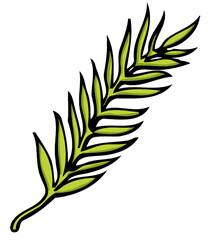green fern foliage leaves