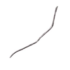 watercolor botanical clipart with branch