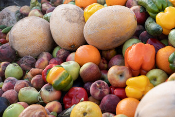 Expired Organic bio waste. Mix Vegetables and fruits in a huge container, in a rubbish bin. Heap of Compost from vegetables or food for animals.