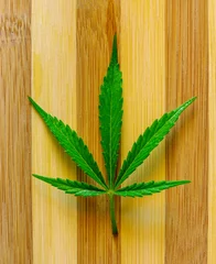 Tuinposter cannabis green marijuana on a wooden brown streep background, weed leaf closeup, natural medical hemp macro, ganja for medicine © Yaroslav