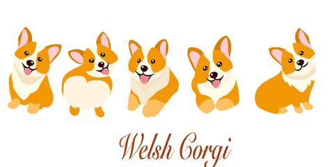 Doodle Cartoon Pembroke Welsh Corgi illustration set in different poses. Cute sitting, running and lying vector dog isolated on white background