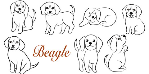 Fototapeta premium doodle style hand drawn, Cute cool beagle puppy set. Collection of flat dog in various poses and actions. Vector illustration of domestic pet behavior
