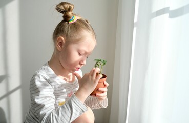 A little girl (child) is studying a young plant (greenery) in a pot. Caring for nature. The concept of Earth day holiday and World environment day. Growing vegetables at home. 