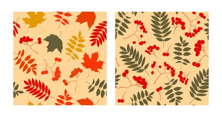 Fototapeta na wymiar Set of patterns of colorful trendy autumn leaves and berries. Vector illustrations for web, app and print. Elegant shapes floristic isolated rowan leaves. Forest, botanical, minimalistic floral