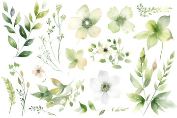 Obraz premium White and Green Flowers and Plants Set, Watercolor Illustration: AI Generated Image